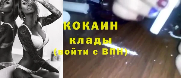 винт Дмитриев