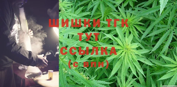 шишки Баксан