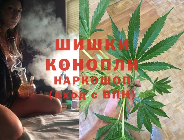 шишки Баксан