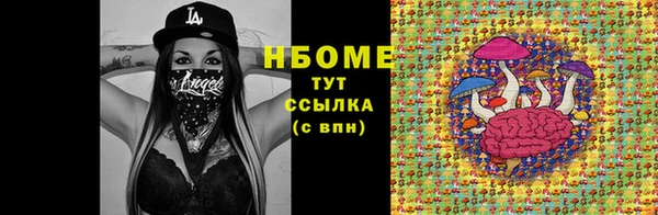 шишки Баксан