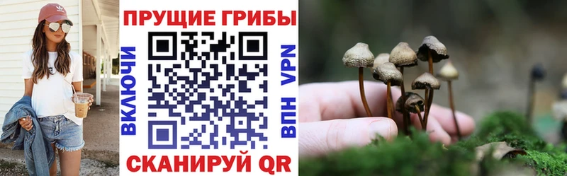 как найти закладки  Комсомольск  Галлюциногенные грибы MAGIC MUSHROOMS 