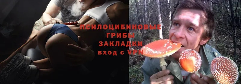 как найти закладки  Комсомольск  Псилоцибиновые грибы Psilocybine cubensis 